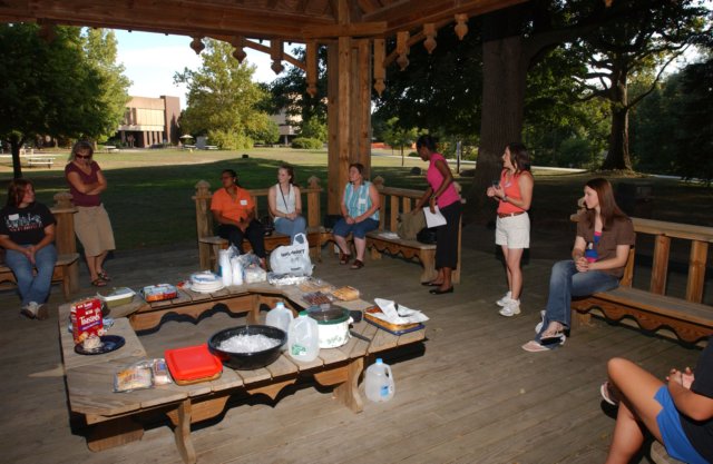 swe_picnic_su2008_ed21.jpg